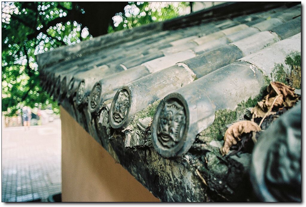PENTAX Super program A24 2.8 Kodak Portra 160