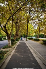 IMGP0133边长650.jpg