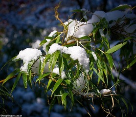 IMGP0411边长700.jpg