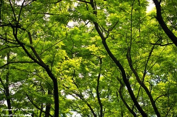 夏天真的来了~