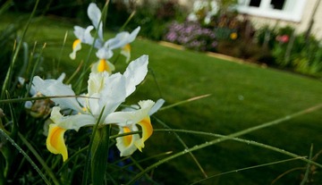 _DSC0208.jpg