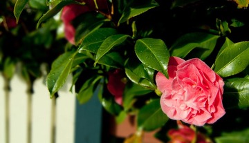 _DSC0211.jpg