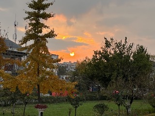 AD700840-6469-4C1C-99E4-0B421D4E6467/L0/001