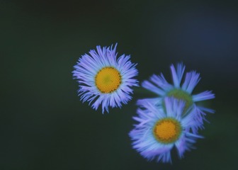 40633B2F-69AB-4778-8463-5E9BCD9A065C/L0/001