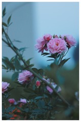 90FD9495-CC4D-49D5-8326-B3C8FCCF8816/L0/001