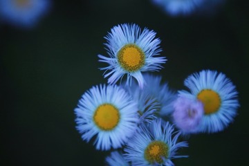 71403DF8-445B-4D6E-AF3C-3236B0C58285/L0/001
