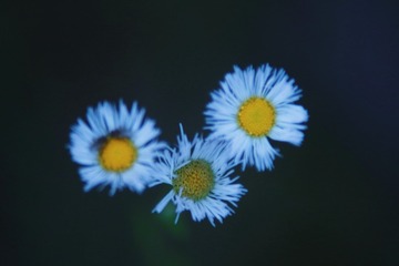 A3CF9F5C-BE65-4A20-B77D-0402DCD61E93/L0/001
