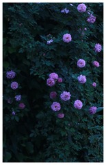 E1B79968-380E-4D9F-BC07-189EEA1BE0FC/L0/001