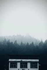 276818