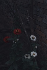 172013