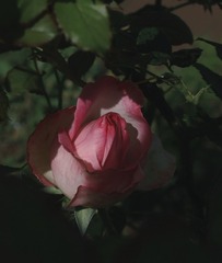 2840519
