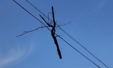 2839710