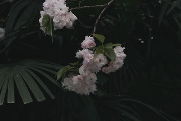 2802815