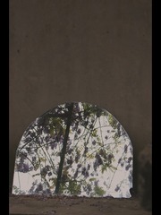 2802822