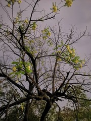 3490754