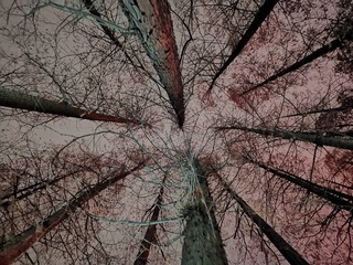3485828