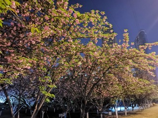 3490315