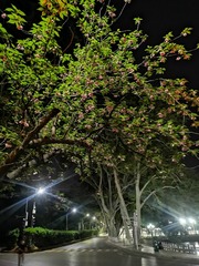 3490577