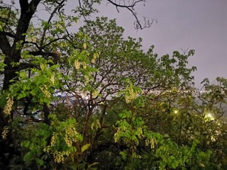 3490775