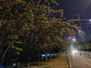 3490316