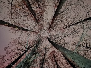3485827