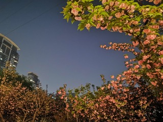 3490312