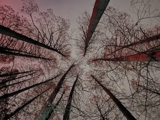 3485826