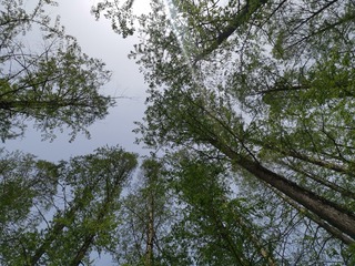 3489862