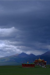 2009