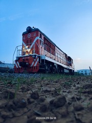 1000053439
