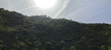 1000503687