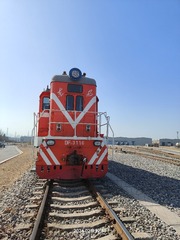 1000026174