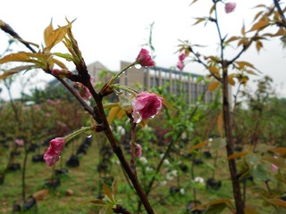 DSCN1150.JPG
