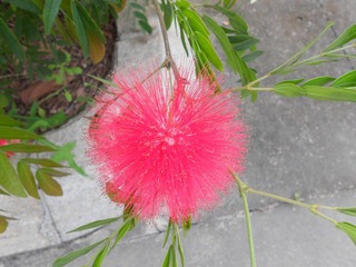 DSCN1689.JPG
