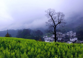 IMGP3542.jpg