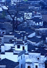 IMGP3284.jpg