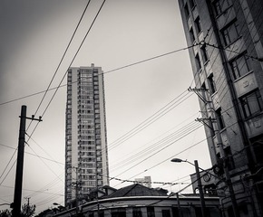 SDIM0048.jpg
