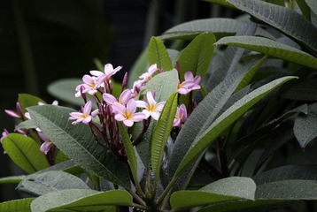 _IGP8319.jpg