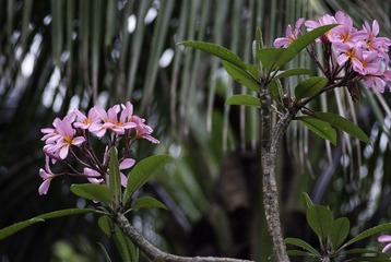 _IGP8324.jpg