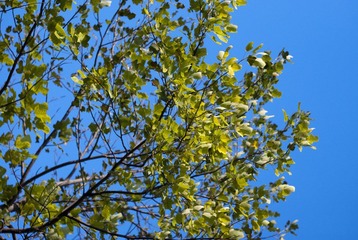 _IGP8474.jpg