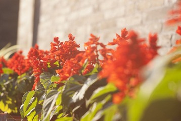 _IGP8512.jpg