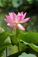 IMG_0015.JPG