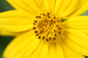 IMG_0047.JPG