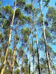 IMG_20131002_100424_1