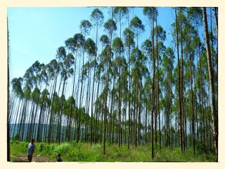 IMG_20131002_103327_1