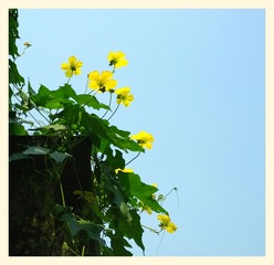 IMG_20131004_111919_1_1