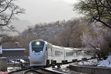 1130008