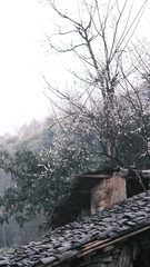 46845BD5-ED42-45F7-BDFB-7263D80823CC/L0/001