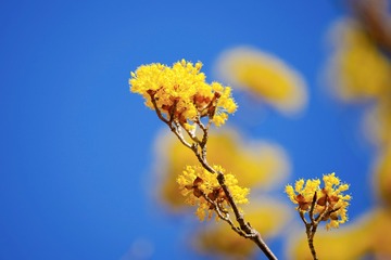 2DF638EA-DB4C-4789-AB65-9AF15336071F/L0/001