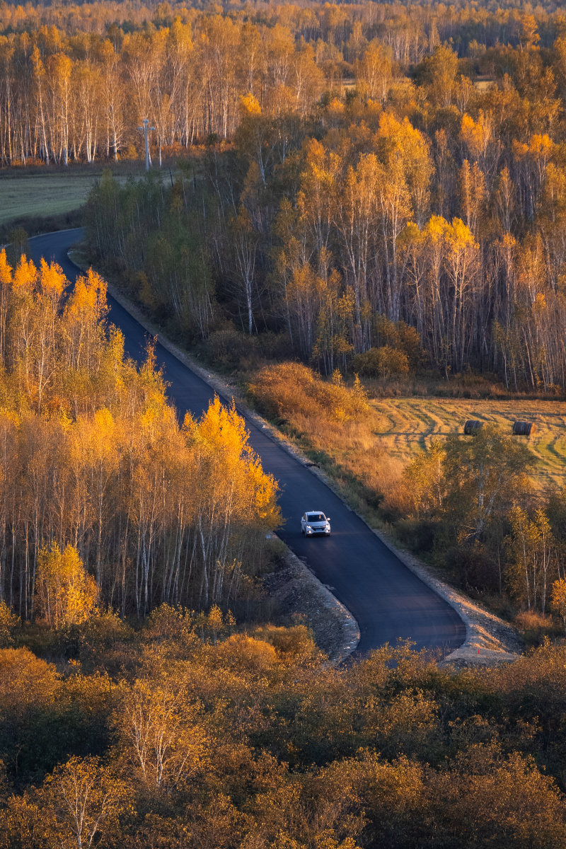 《兴安岭的秋韵》 - 全球风光摄影师 - 图虫